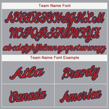 Load image into Gallery viewer, Custom Gray Red-Navy Baseball Jersey