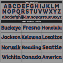 Load image into Gallery viewer, Custom Gray Black-Powder Blue Performance T-Shirt